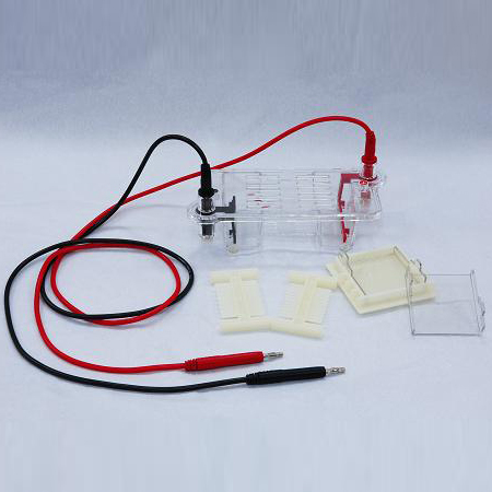 wode沃德DYCP-31BN型琼脂糖水平电泳仪(槽)(微型