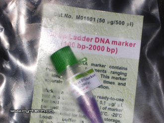 AXYGENM-DNA100bpLadderDNAmarker