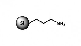 SiliaBond Amine (WAX) (R52030B)