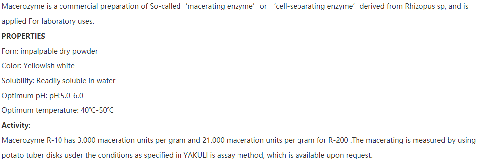 Yakult Macerozyme R-10 离析酶 R-10 L0021