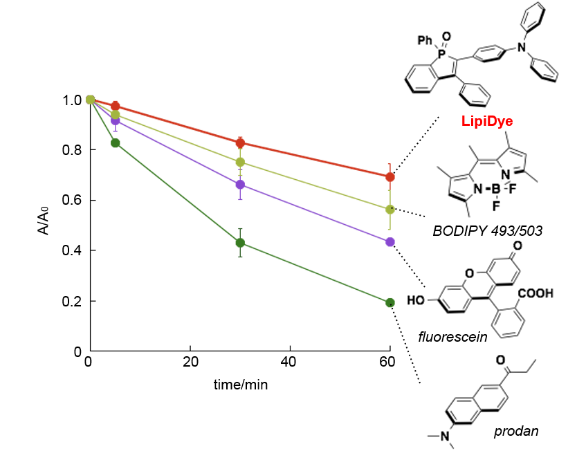 LipiDye Lipid Droplet Green	                              高灵敏度的脂滴活细胞成像荧光染料