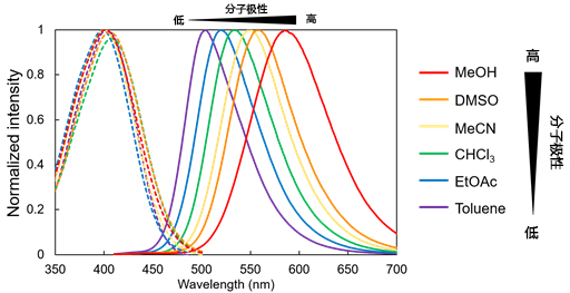 LipiORDER (Membrane Lipid Order Imaging Dye)                              可定量观察活细胞的膜相态！