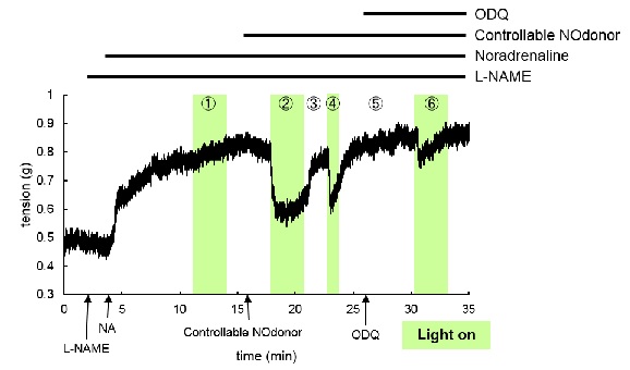 Controllable Nodonor,NO-Rosa5                              在任意范围、时间通过可视光照射释放NO(Nitric oxide)的试剂