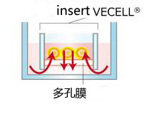 VECELL® 3D细胞培养板                              VECELL® 3D Cell Culture Plate