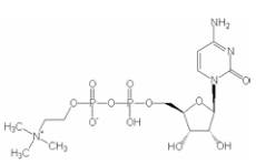 脑循环•代谢改善药成分