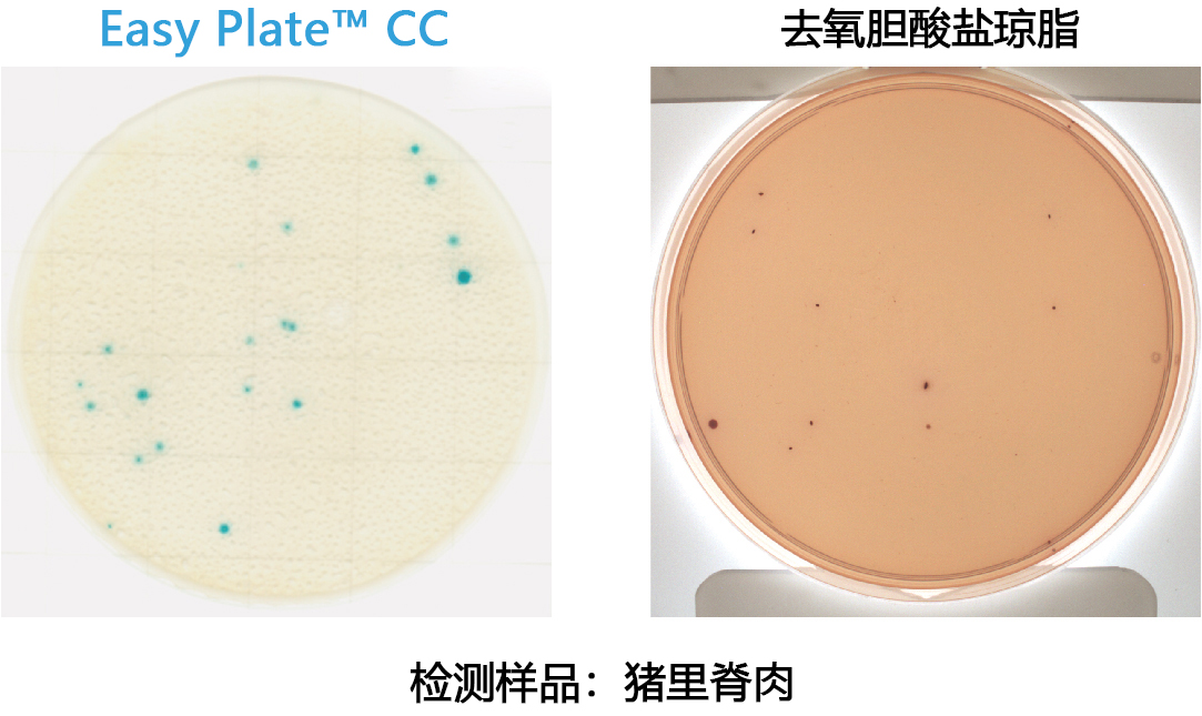 大肠菌群测试片（原Medi•Ca CC）                              Easy Plate CC