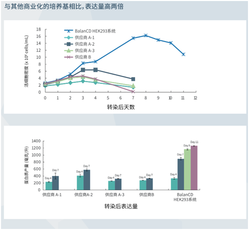 BalanCD HEK293培养基