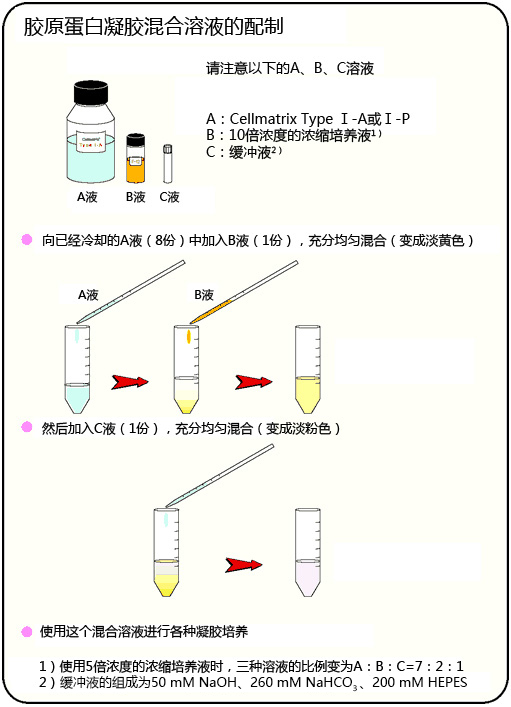 Cellmatrix® 系列产品                              细胞培养用胶原蛋白