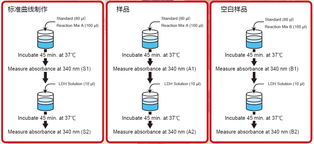 D- 丝氨酸比色法检测试剂盒                              D-Serine Colorimetric Assay Kit