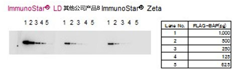 免疫印迹用化学发光试剂 ImmunoStar® 系列