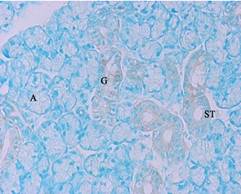 2714459320465359.jpg GenomONE® -Neo EX 仙台病毒包膜转染试剂 GenomONE® -Neo EX HVJ-E vials Transfection Reagents