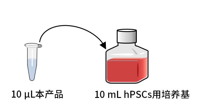 CultureSure™ CEPT Cocktail(1,000×)                              进一步发展干细胞研究