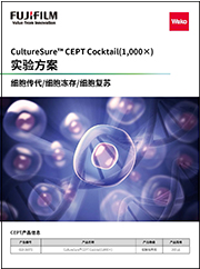 CultureSure™ CEPT Cocktail(1,000×)                              进一步发展干细胞研究