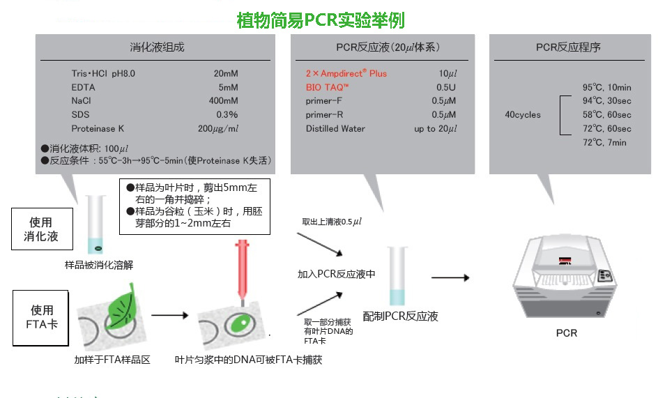 新型 PCR 扩增缓冲液                              Ampdirect®Gene Amplification