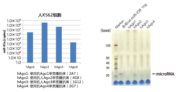 MagCapture™ microRNA分离试剂盒系列                              MagCapture™ microRNA Isolation Kit 系列