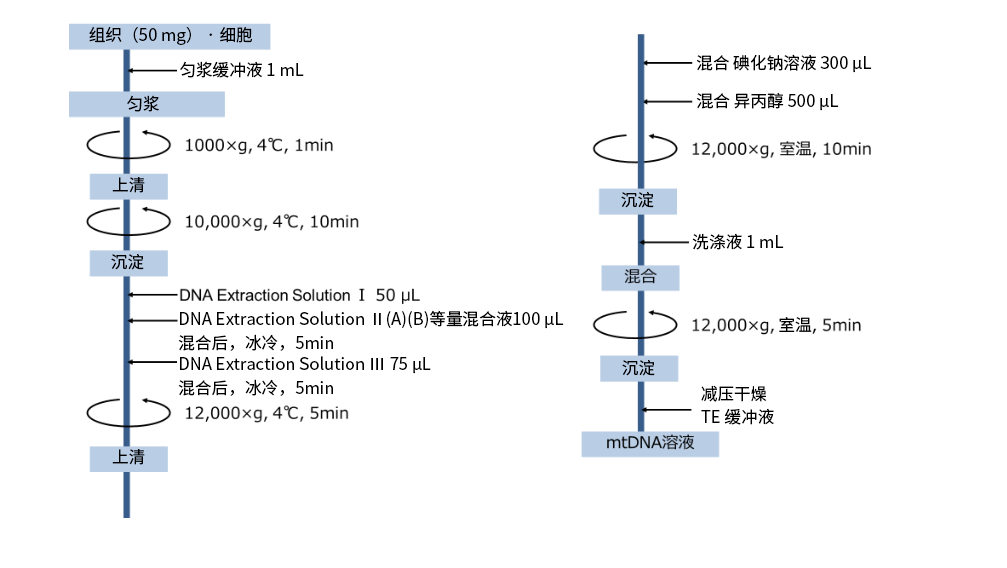 0716703839105073.png mtDNA Extractor® CT Kit 提取组织 · 细胞 · 复合饲料中的线粒体DNA
