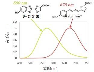 AkaLumine™                              近红外发光荧光素类似物