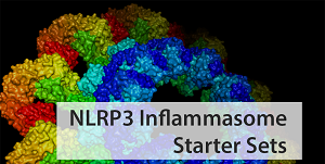 炎症小体研究相关进展及工具