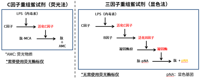 【试用活动】三因子重组鲎试剂PYROSTAR™ Neo