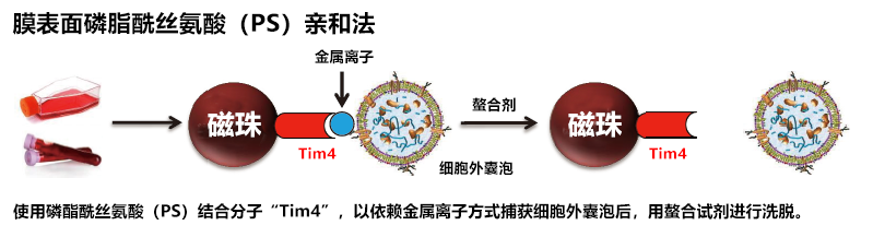 ·中国热忱邀请您参加2018（第三届）外泌体与疾病研讨会