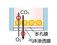 VECELL® 3D Cell Culture Plate【本活动已结束】