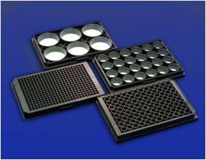 VECELL® 3D Cell Culture Plate【本活动已结束】