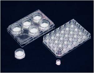 VECELL® 3D Cell Culture Plate【本活动已结束】