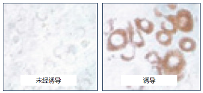 代谢组学研究工具