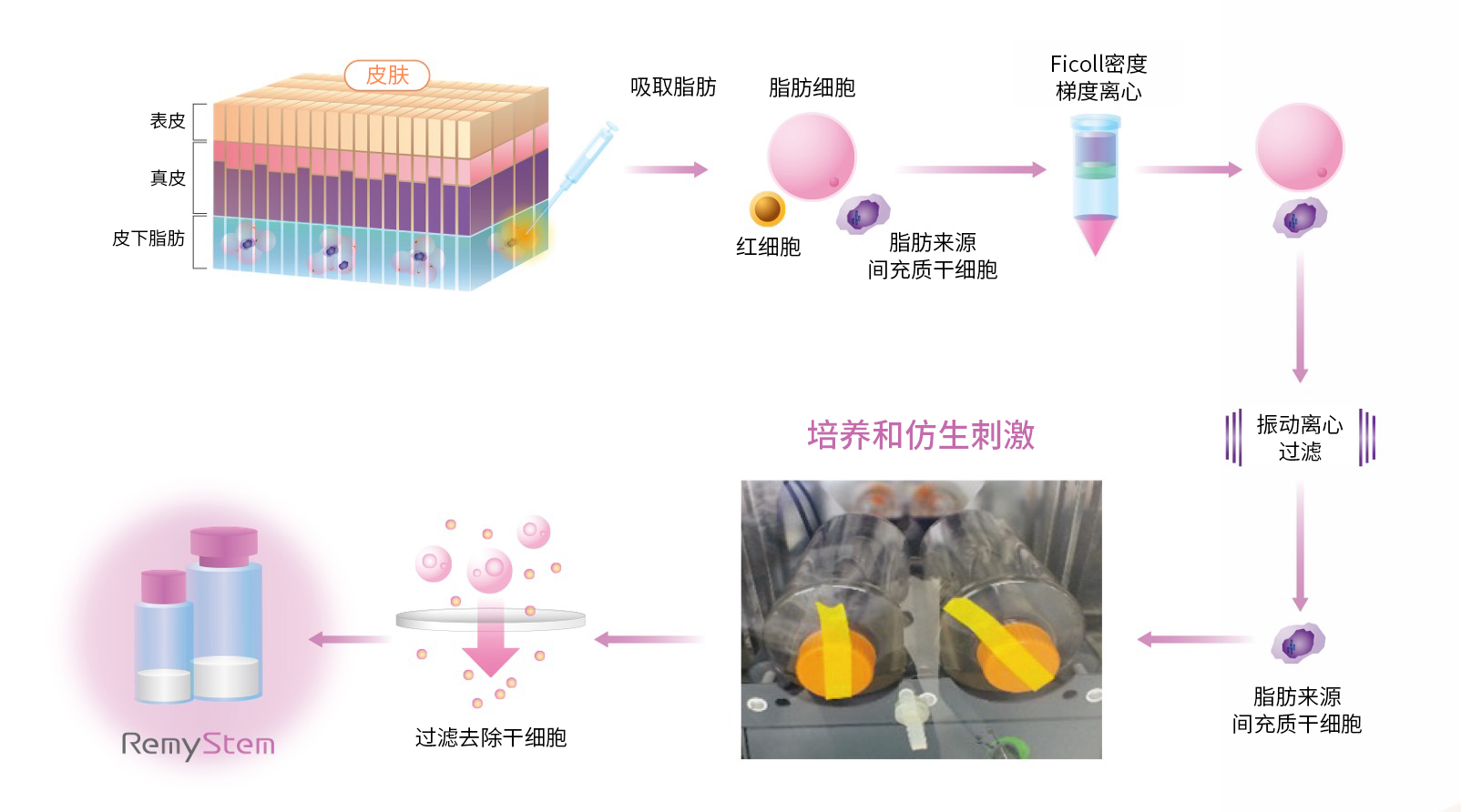 【技术文章】作为化妆品原料的干细胞培养基 · 外泌体