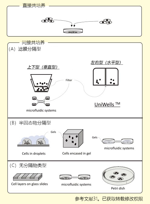 为解读“生物体内密码”的共培养研究与外泌体