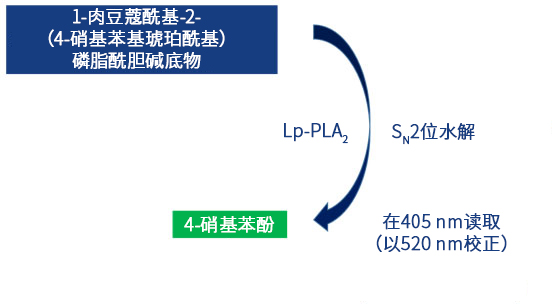 哪些是研究心血管疾病各种不同的生物标志物！