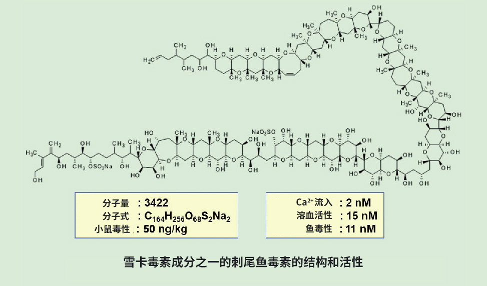 海洋毒素研究的乐趣