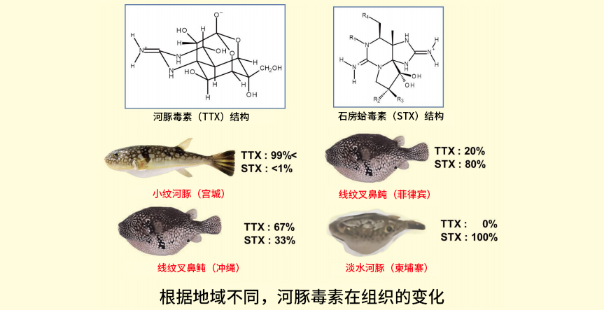 1716055781878048.jpg 海洋毒素研究的乐趣