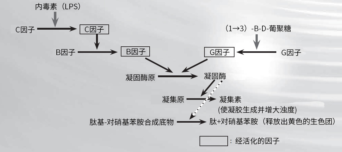 内毒素检测的基础知识