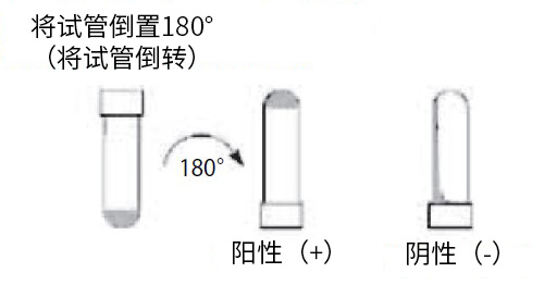 内毒素检测的基础知识