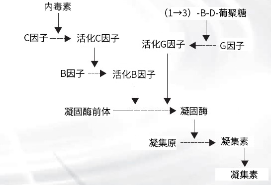 内毒素检测的基础知识