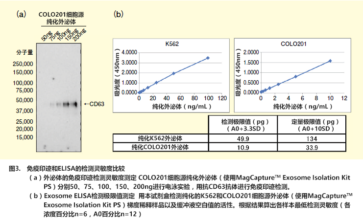 新型亲和性外泌体纯化法与外泌体高灵敏度检测应用